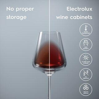 Chráňte svoje vína s vinotékou Cellaring Pro 5 Fundamentals
